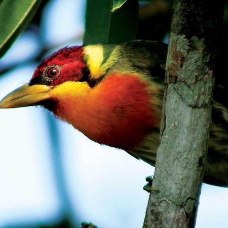 Inkaterra Reserva Amazonica 푸에르토말도나도 외부 사진