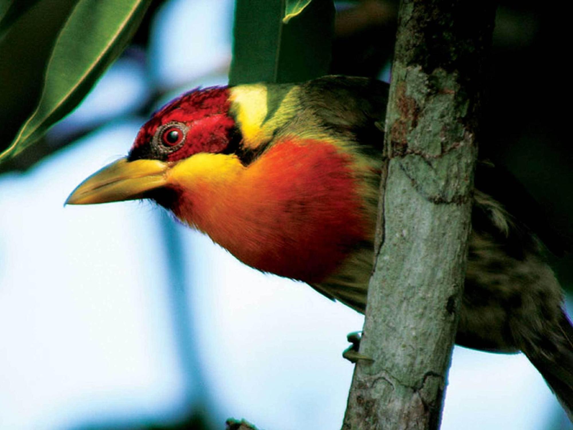 Inkaterra Reserva Amazonica 푸에르토말도나도 외부 사진
