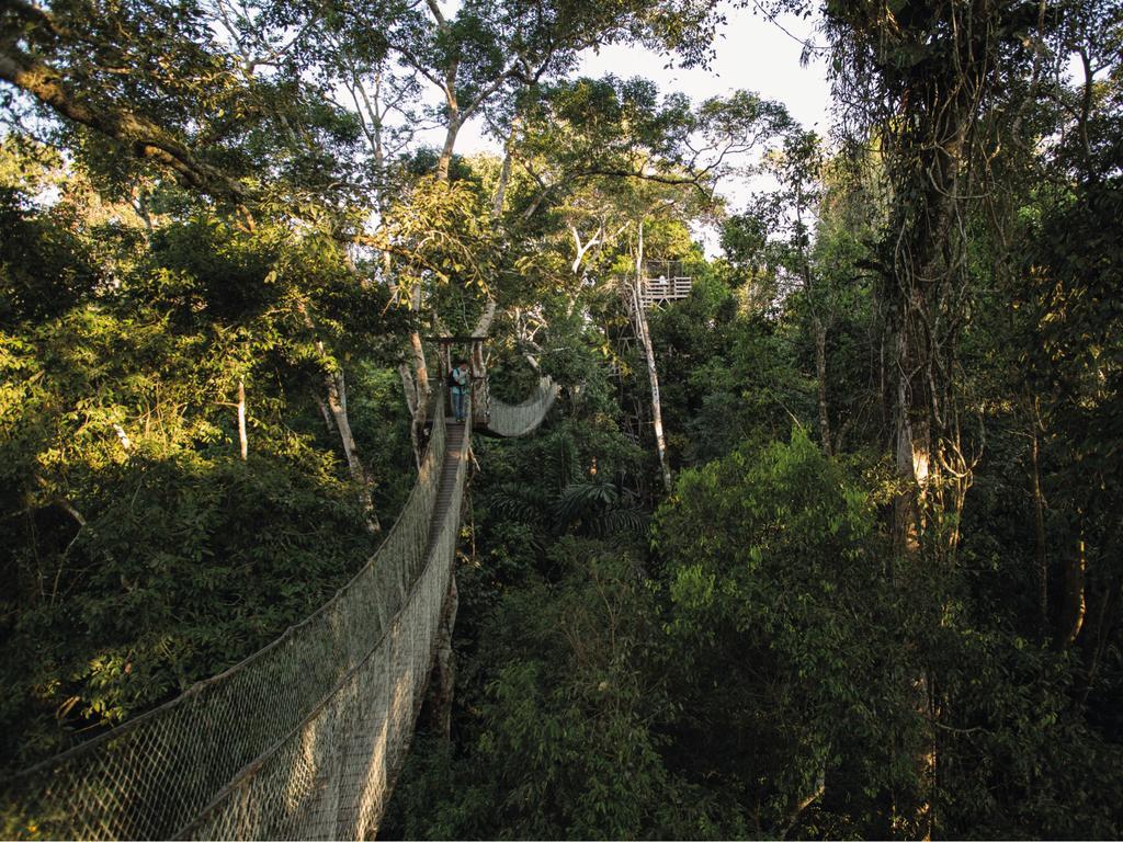 Inkaterra Reserva Amazonica 푸에르토말도나도 외부 사진