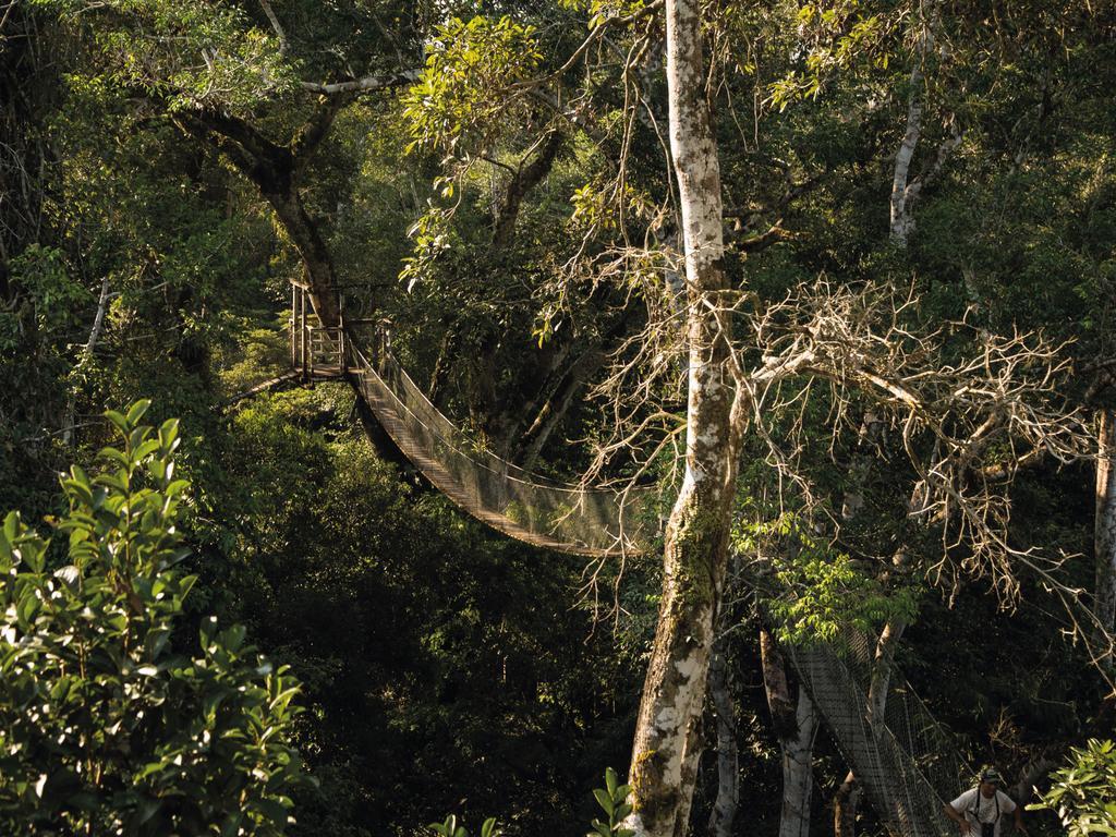 Inkaterra Reserva Amazonica 푸에르토말도나도 외부 사진